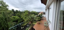 EXCLU – FACE PARCS, GRANDE TERRASSE!!